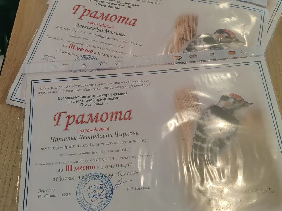 Фото: t.me/borodinskoelesnichestvo