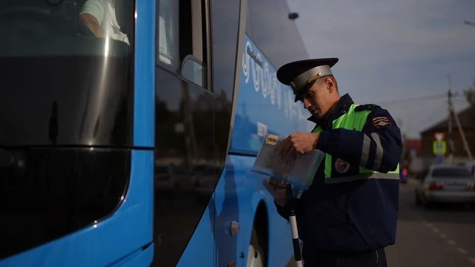 Фото: Госавтоинспекция МО