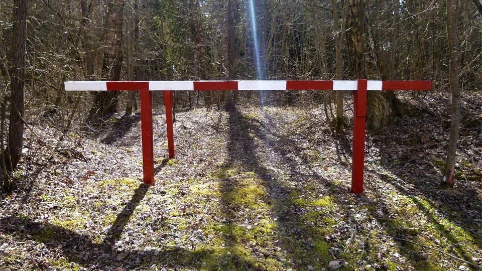 Фото: Комитет лесного хозяйства Московской области