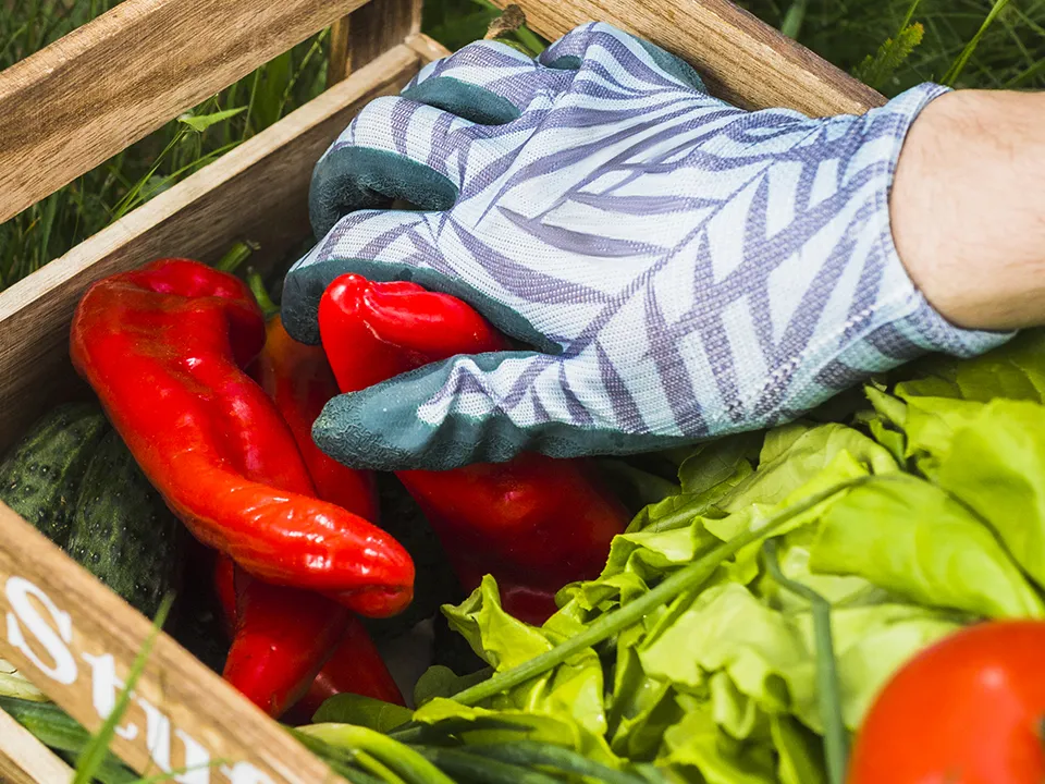 Фото: freepik.com