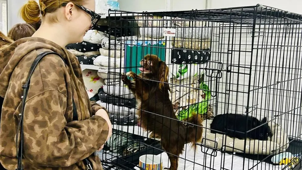 Фото: пресс-служба администрации г.о.Котельники