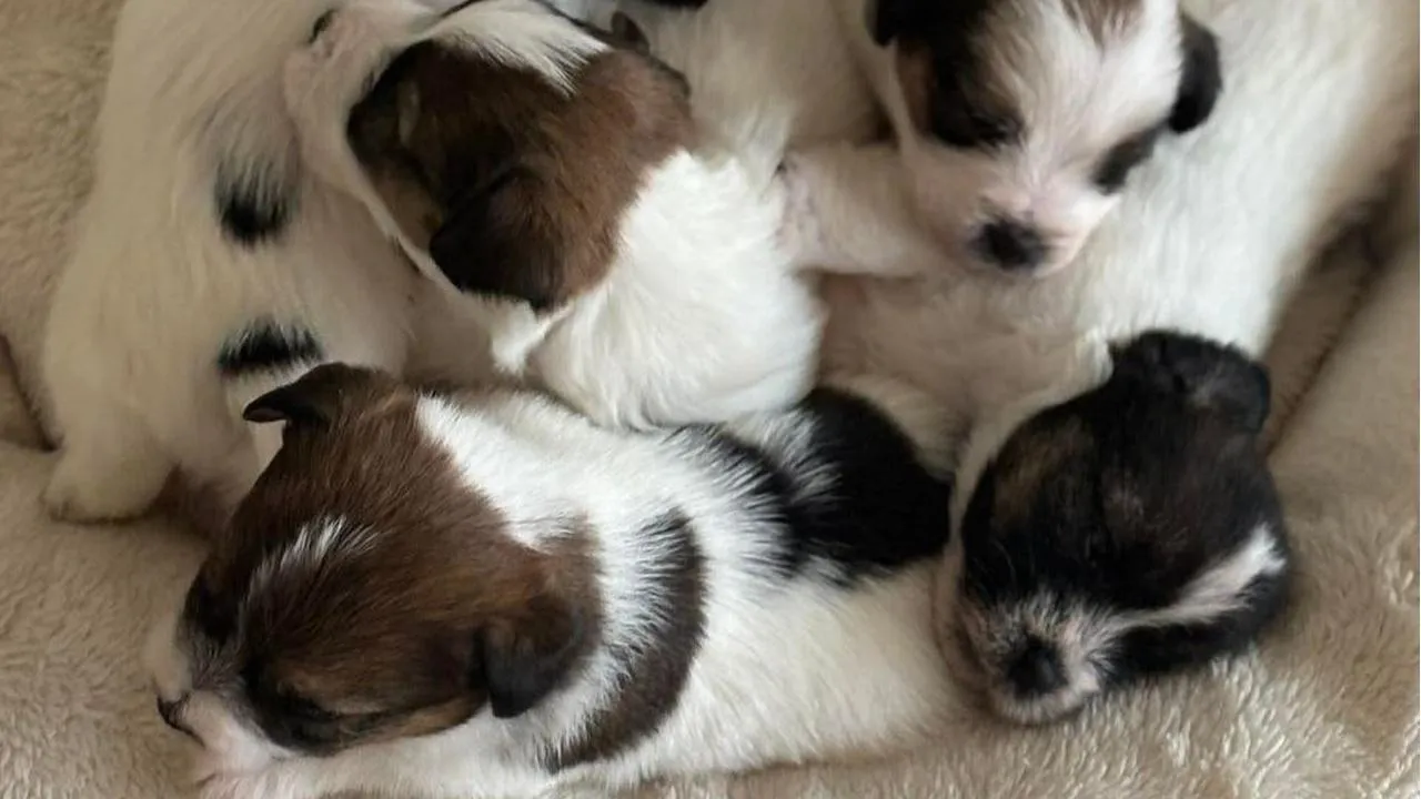 личный архив Юлии Беловой