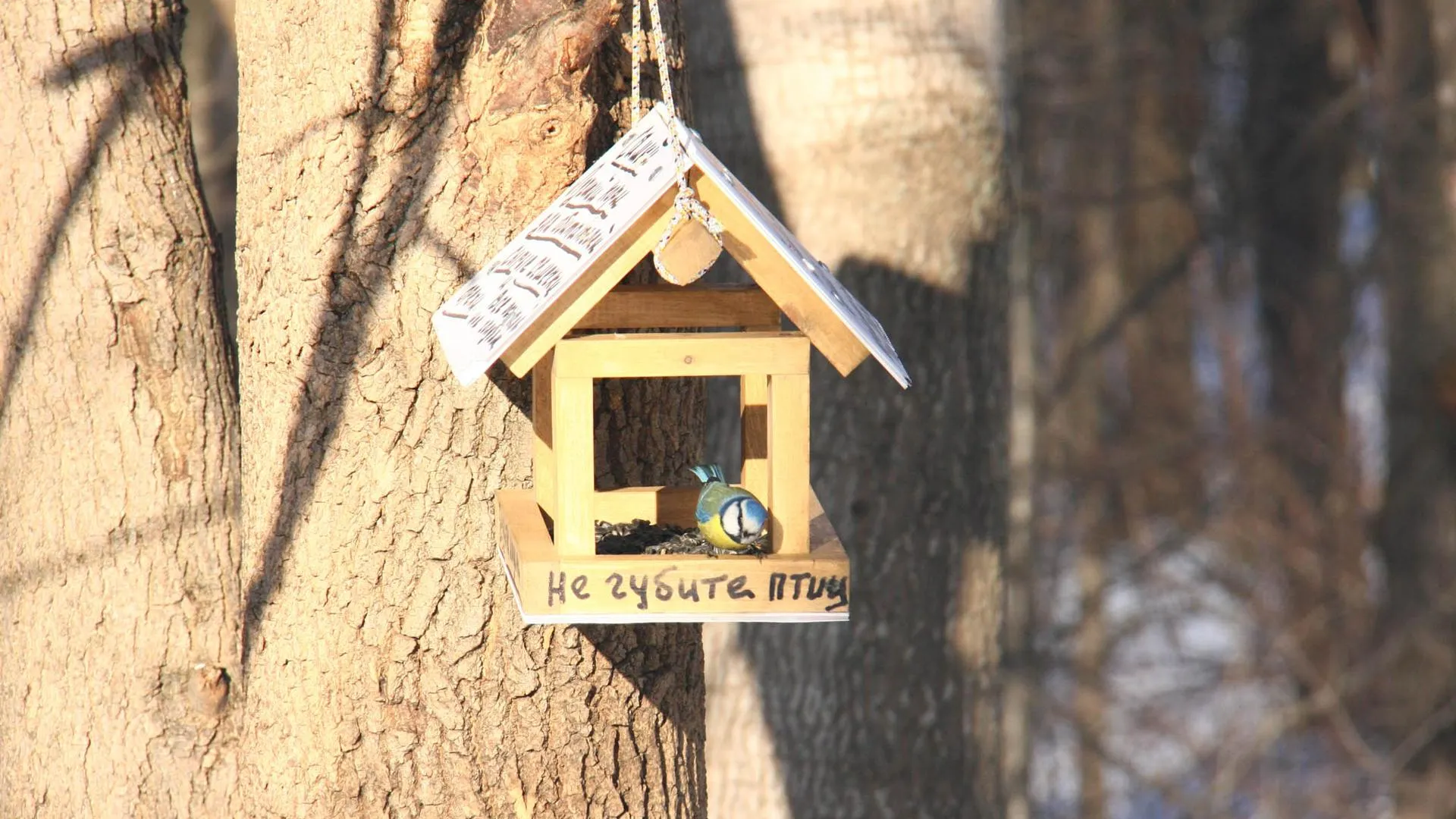 Фото: Дмитрий Кравцов