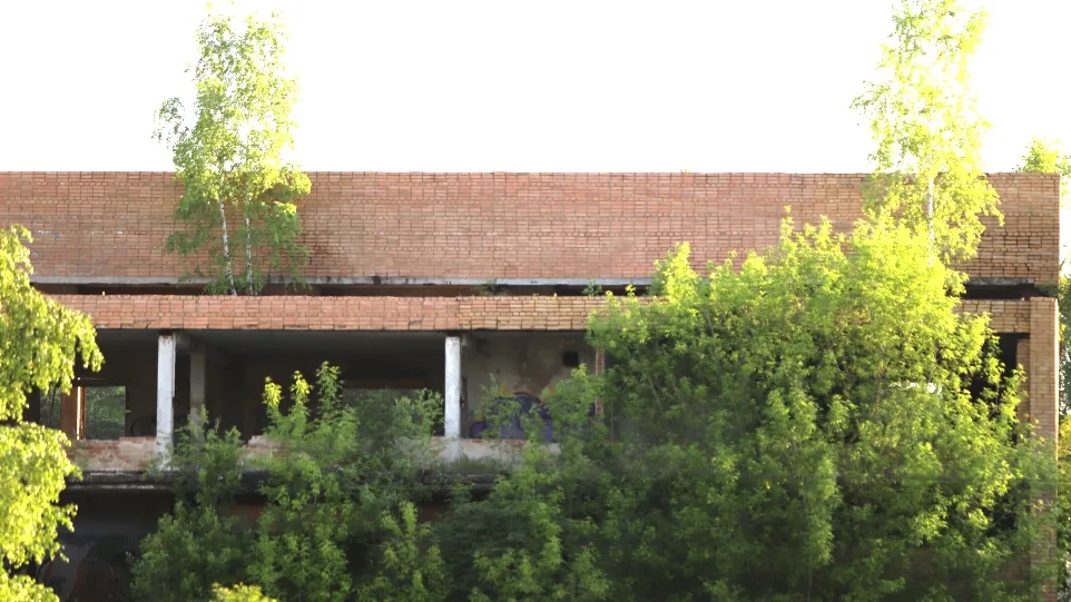 Фото: Владимир Лебедев