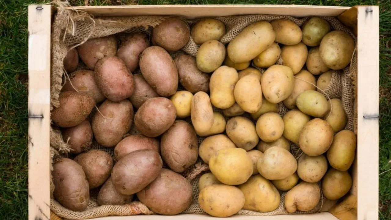 Фото: freepik.com