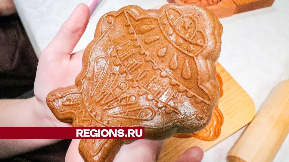 Фото: МедиаБанк Подмосковья/Данила Кирьянов