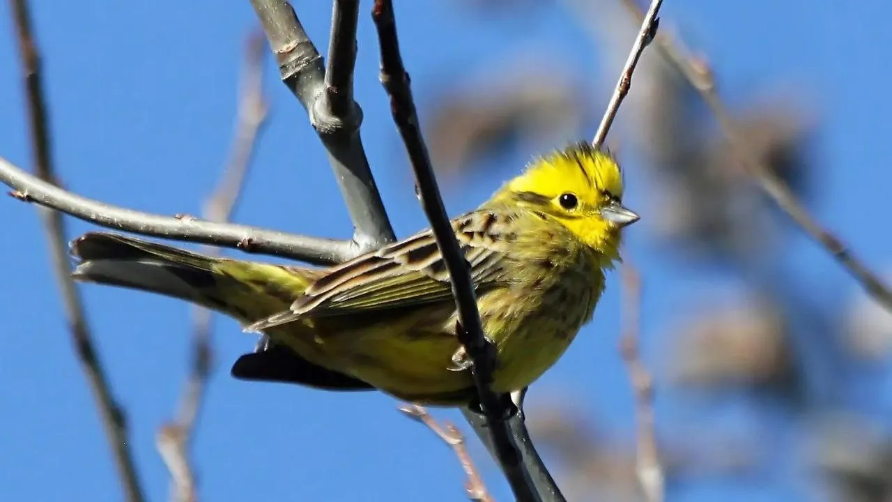 личный архив Константина Кошелева
