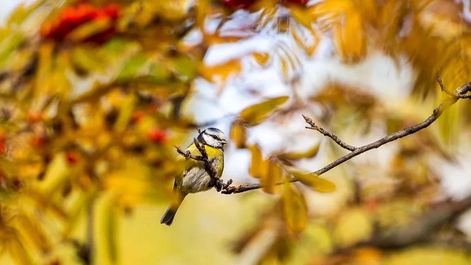 Фото: Антон Кондратюк