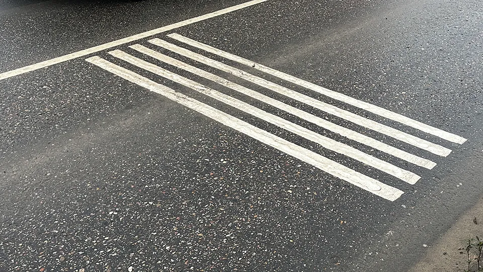 Фото: МедиаБанк Подмосковья/Елизавета Приймак