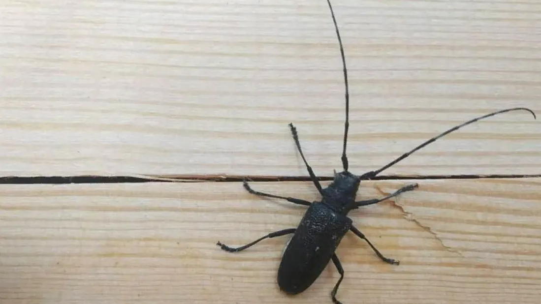 Фото: соцсети