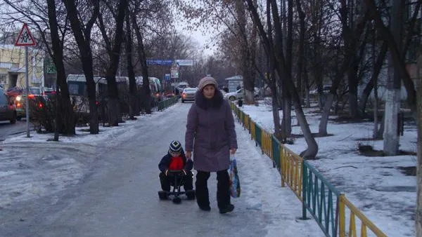 Елена Яковлева / Подмосковье Сегодня