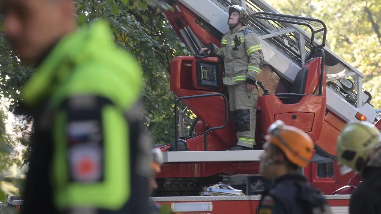 Наталья Николаева