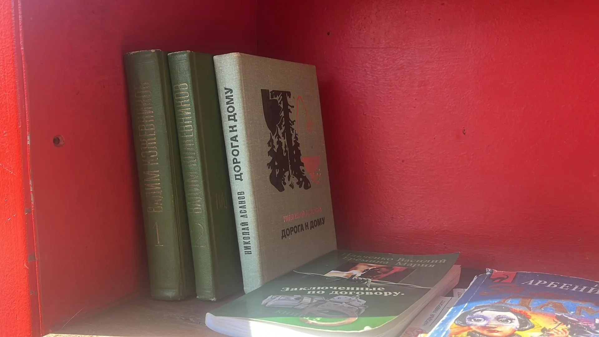 Фото Елизаветы Приймак