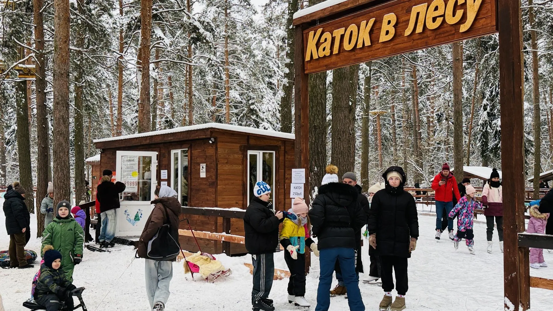 Фото: МедиаБанк Подмосковья/Ольга Стаферова