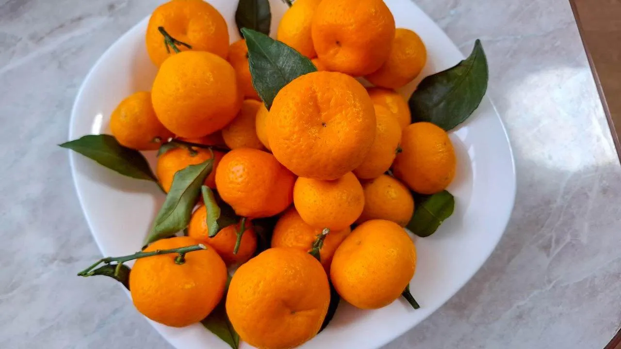 REGIONS/Юлия Габбасова