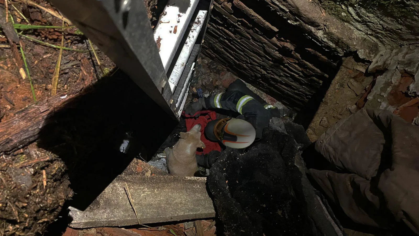 ГКУ МО "Мособлпожспас"