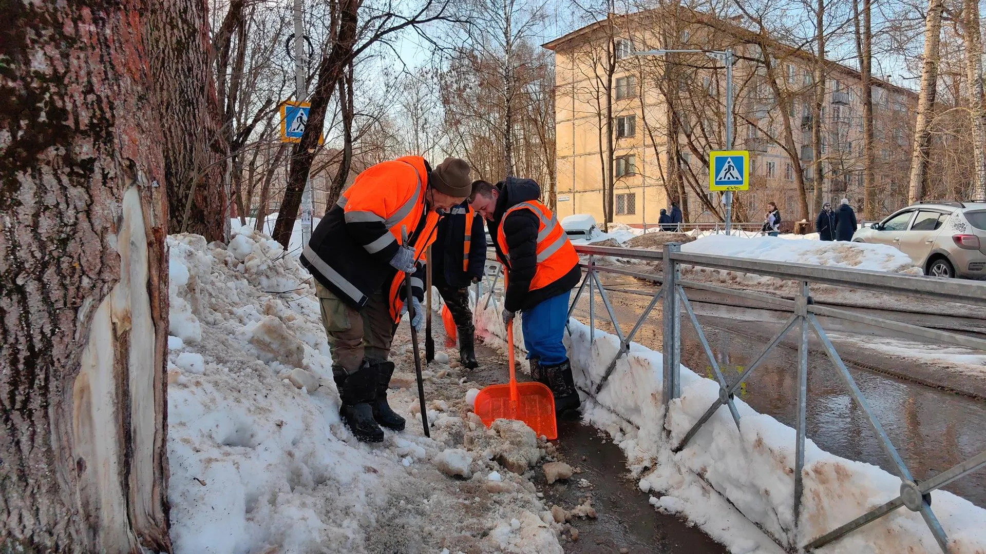 Елена Катасонова