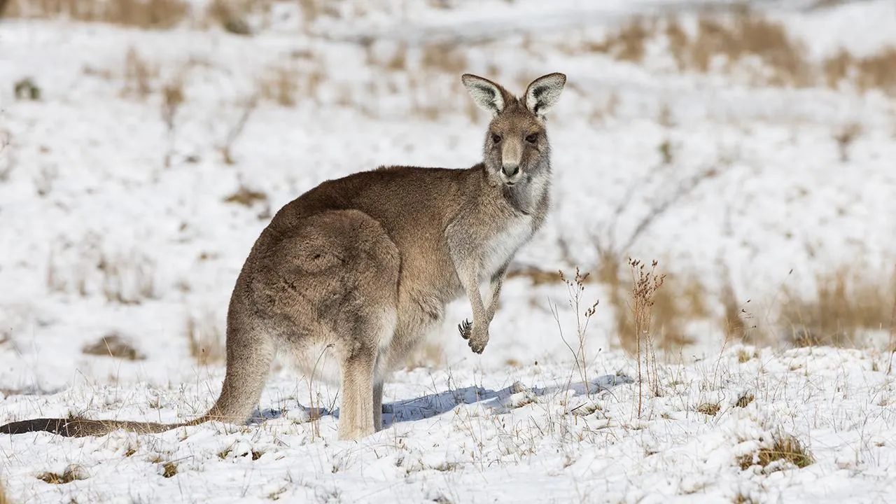 istockphoto.com/Nautilus Creative