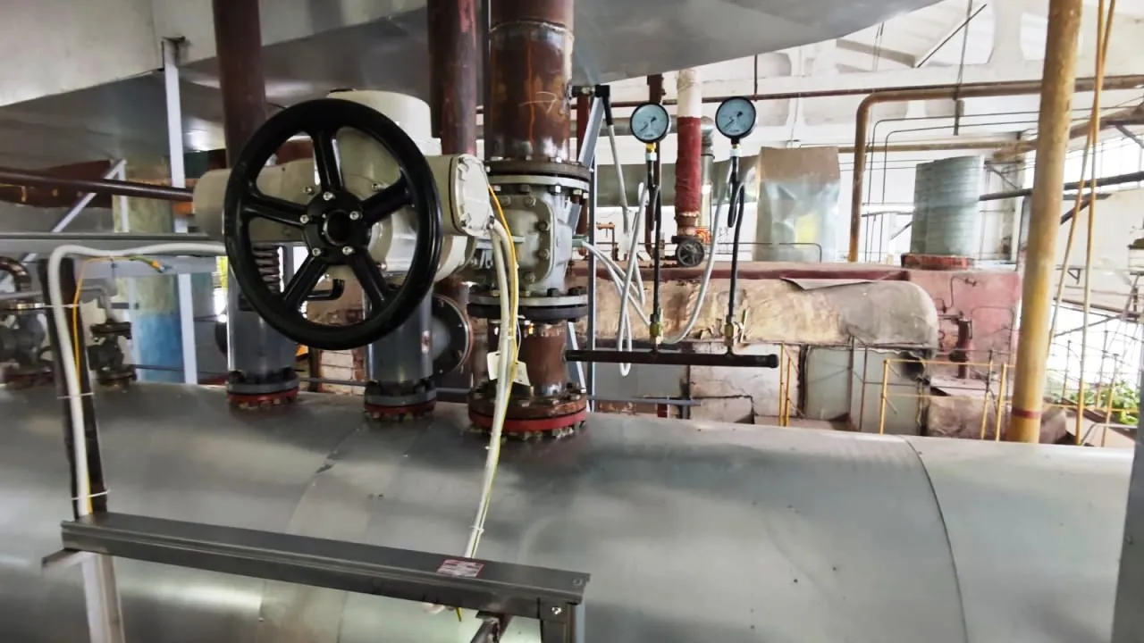 Фото: Пресс-служба администрации Г.о. Пушкинский