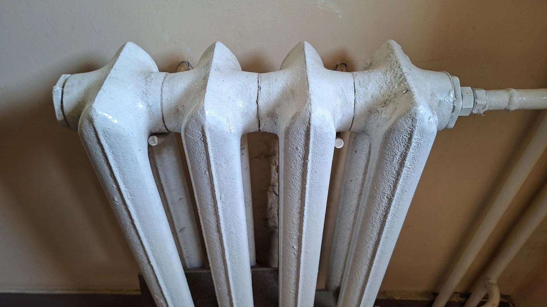 Svetlana Vozmilova/Global Look Press