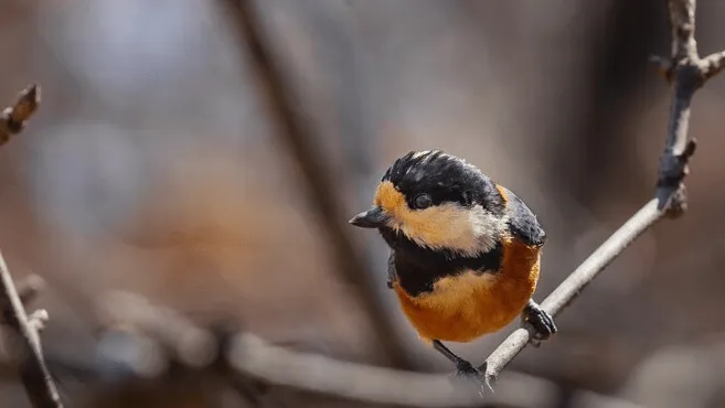 Фото: freepik.com