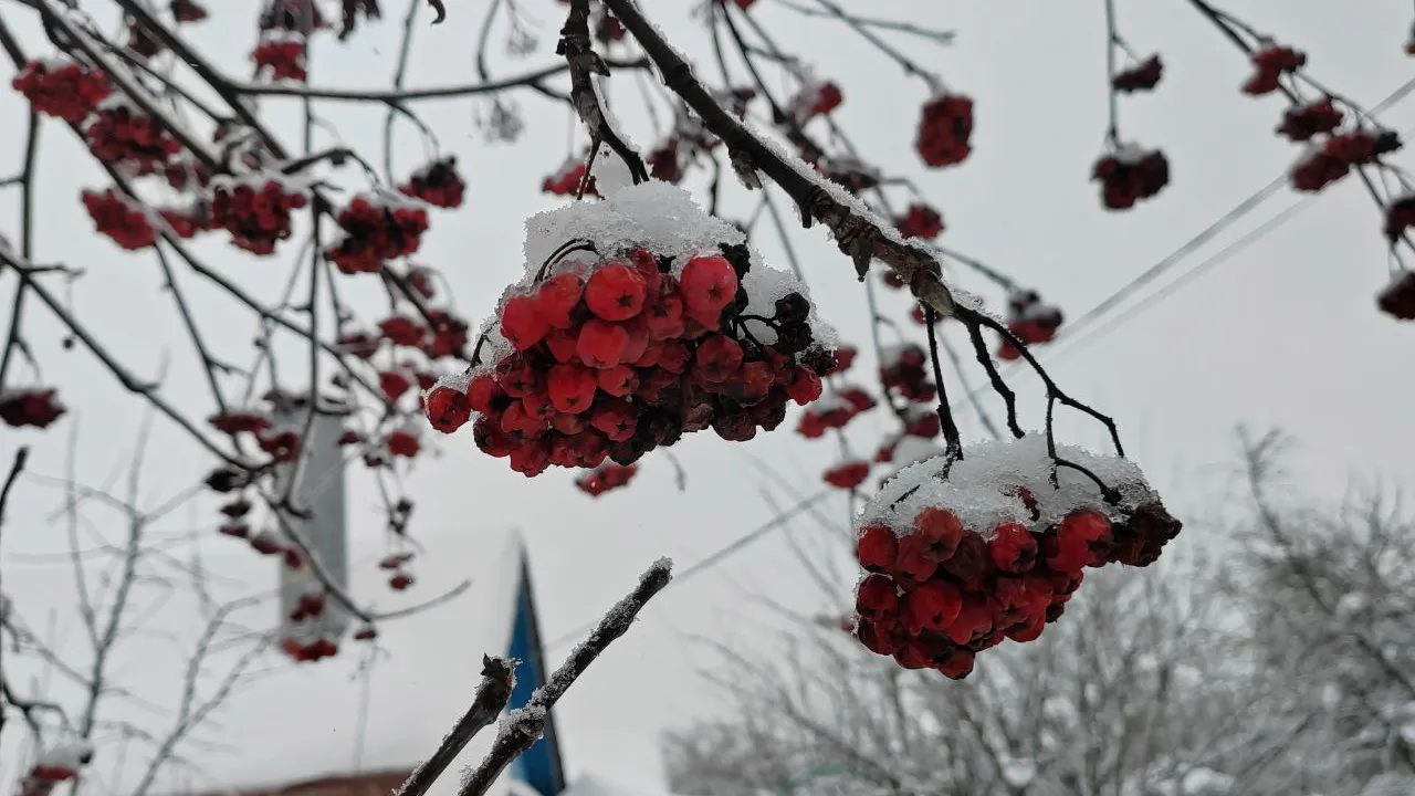REGIONS/Евгений Мазепов