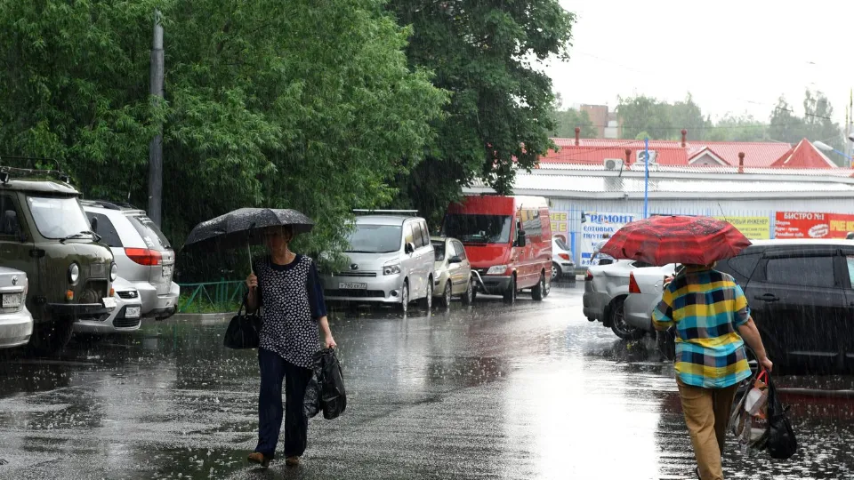 Фото: медиасток.рф