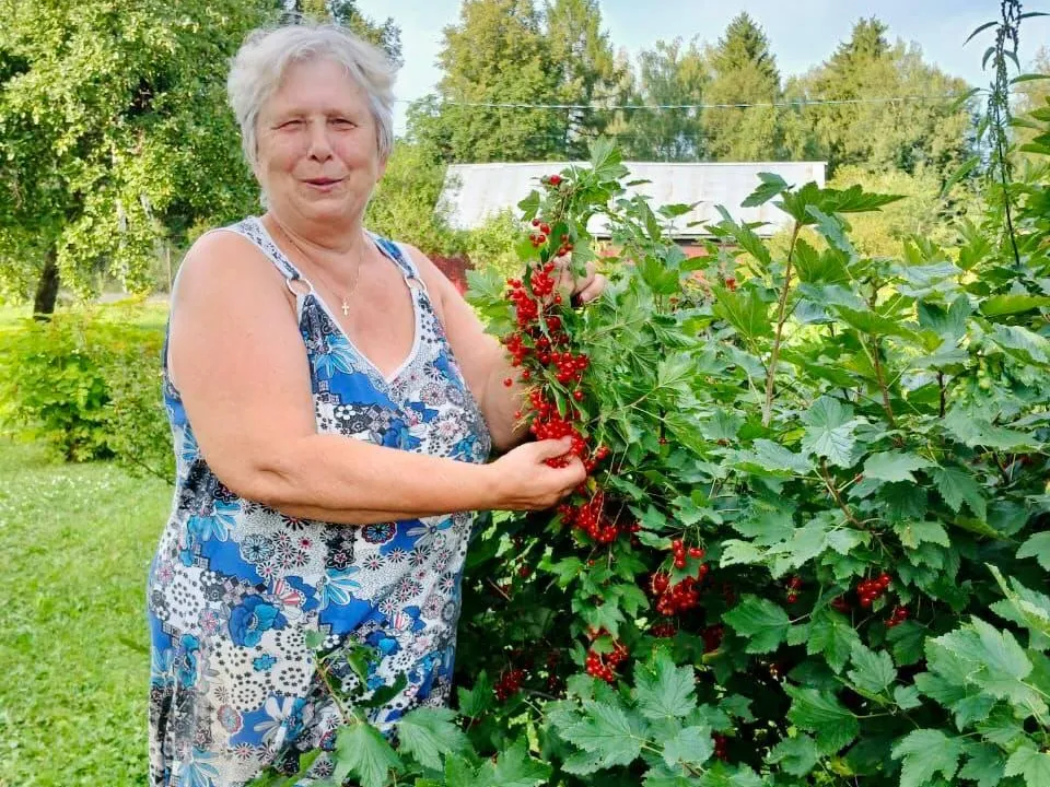 пресс-служба администрации Можайского городского округа