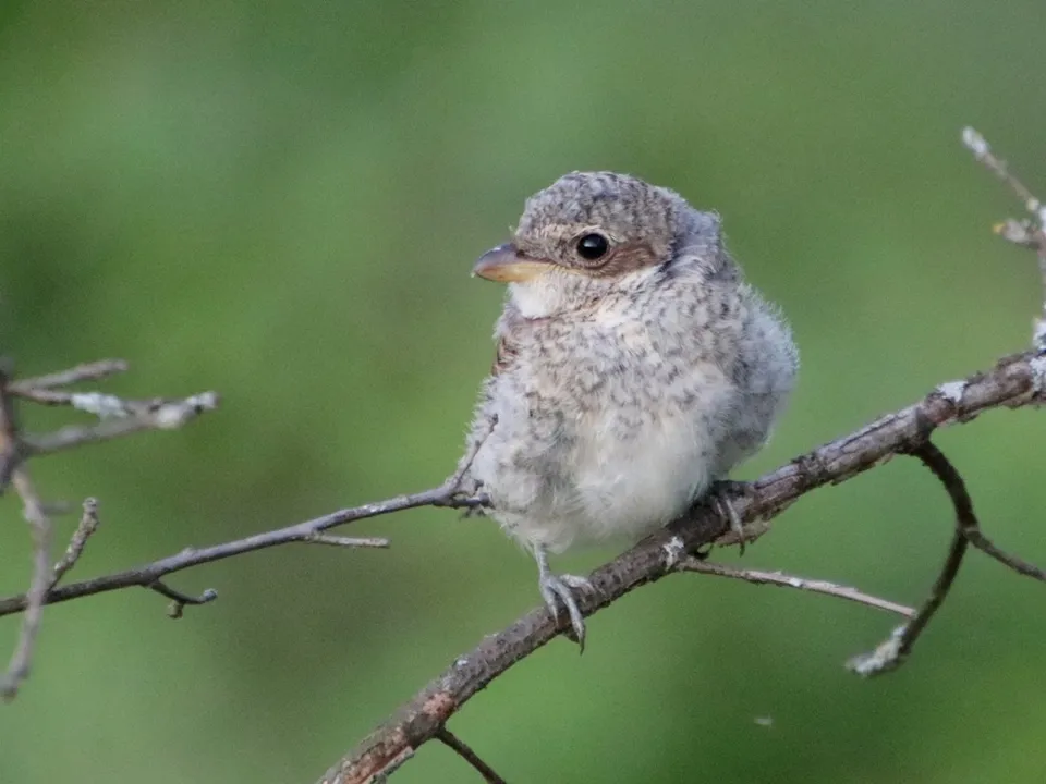 Фото: Ольга Калинина