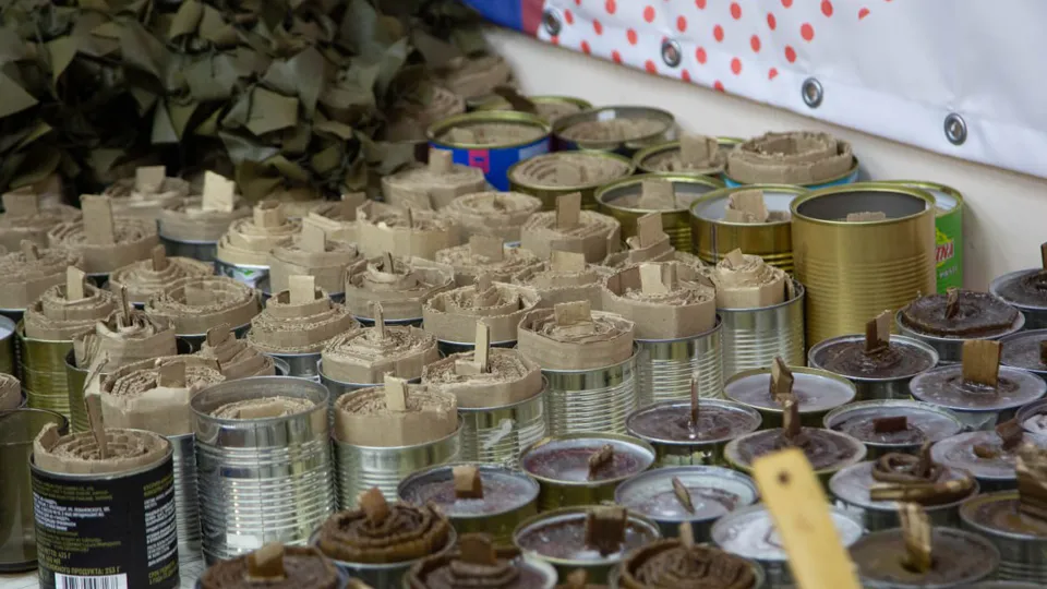 Фото: пресс-служба администрации ЗАТО Звездный городок