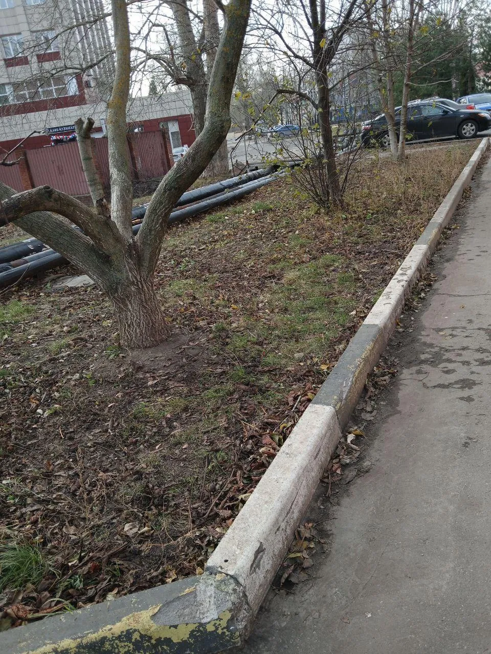 Фото: ГУСТ (территория после уборки)