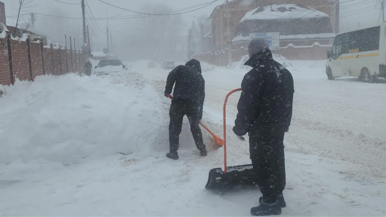 МедиаБанк Подмосковья/Наталья Лымарь