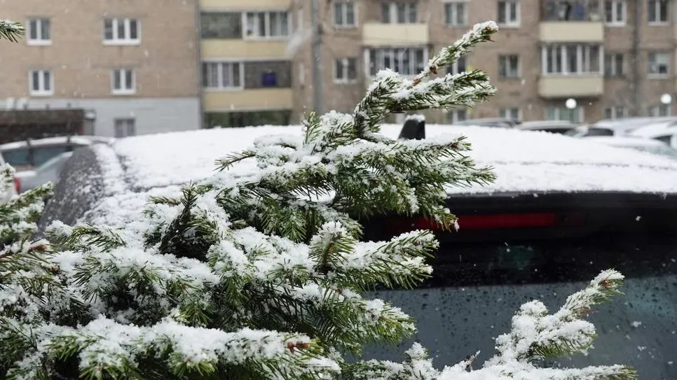 Фото: медиасток.рф