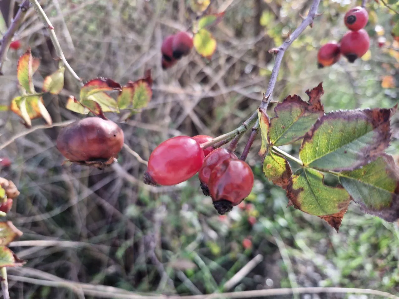 Фото: REGIONS/Наталия Надточая