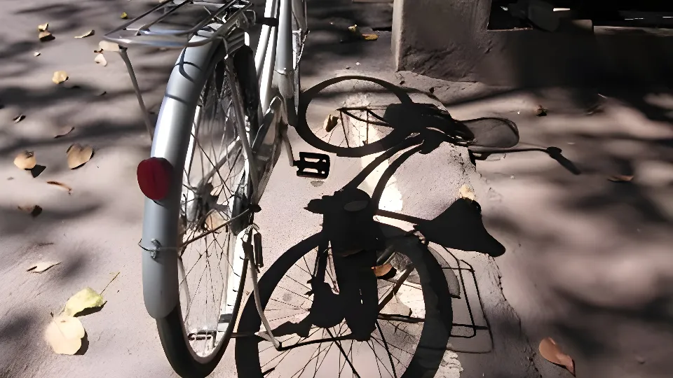 Фото: freepik.com