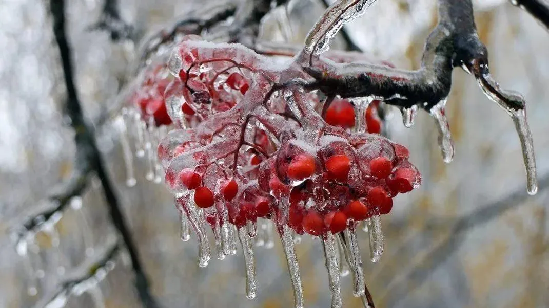 Фото: Pixabay.com