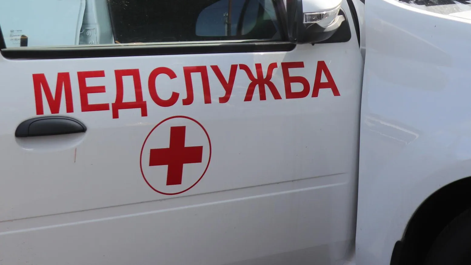 Фото: Василий Тремасов