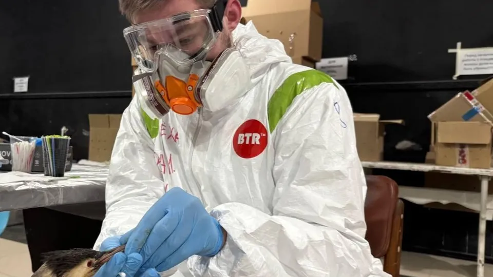 Фото: Алексей Бочейко