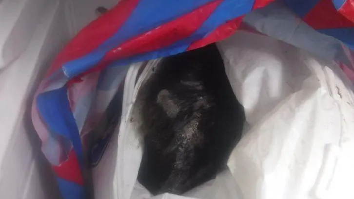 Федеральная таможенная служба