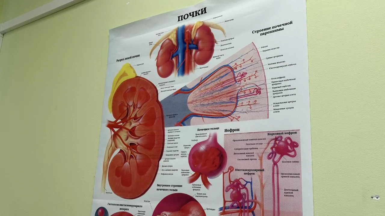 REGIONS/Мария Шигорева