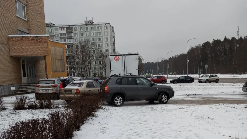 Фото: t.me/chernogolovkavk