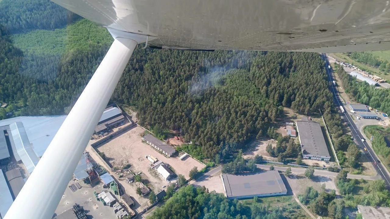 Фото: Комитет лесного хозяйства МО