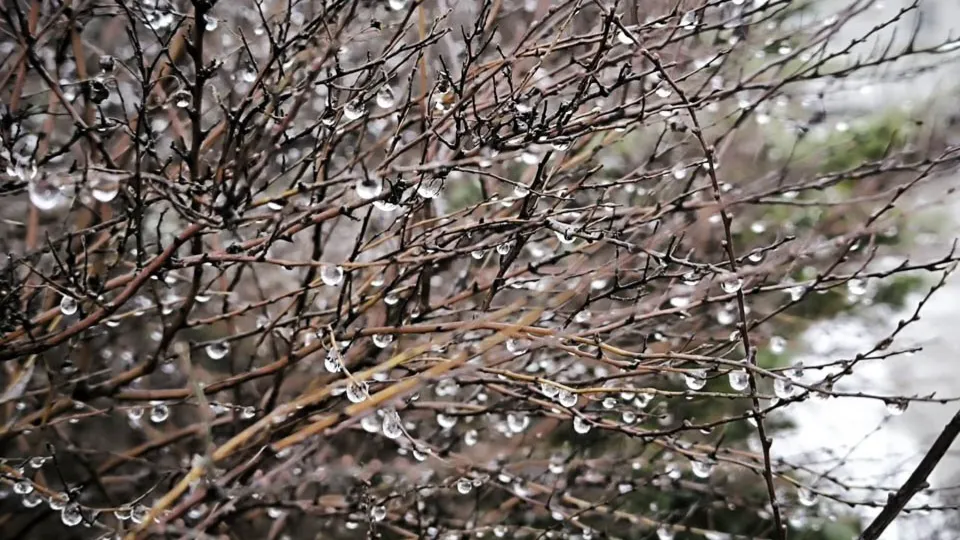 Фото: REGIONS/Роман Малышенко