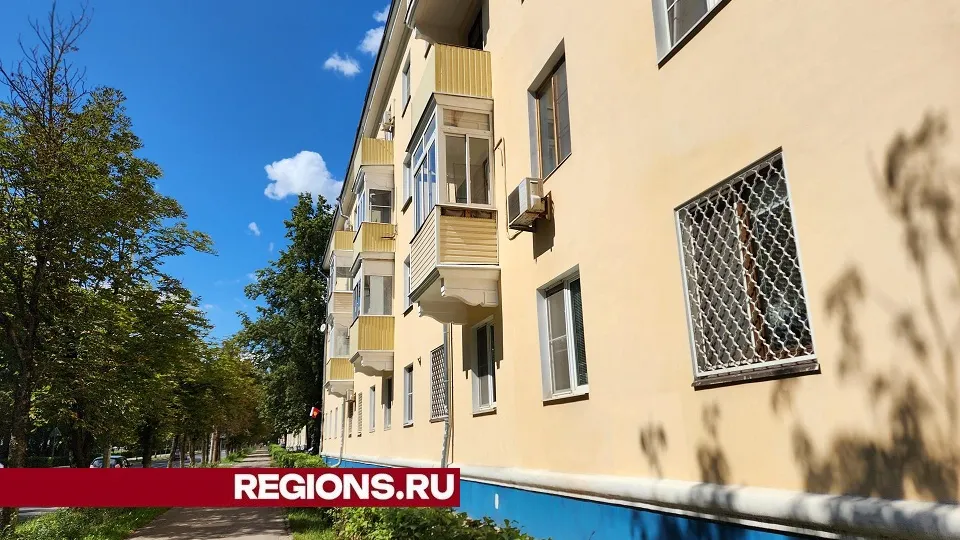 Фото: Светлана Плотникова