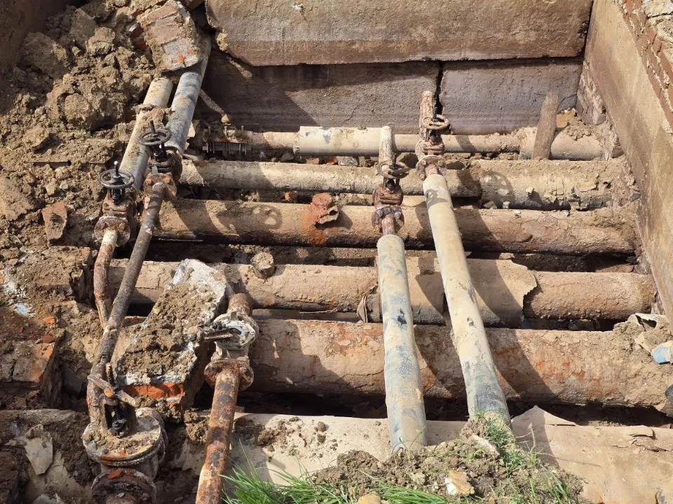 Фото: МедиаБанк Подмосковья/Яна Шаливская