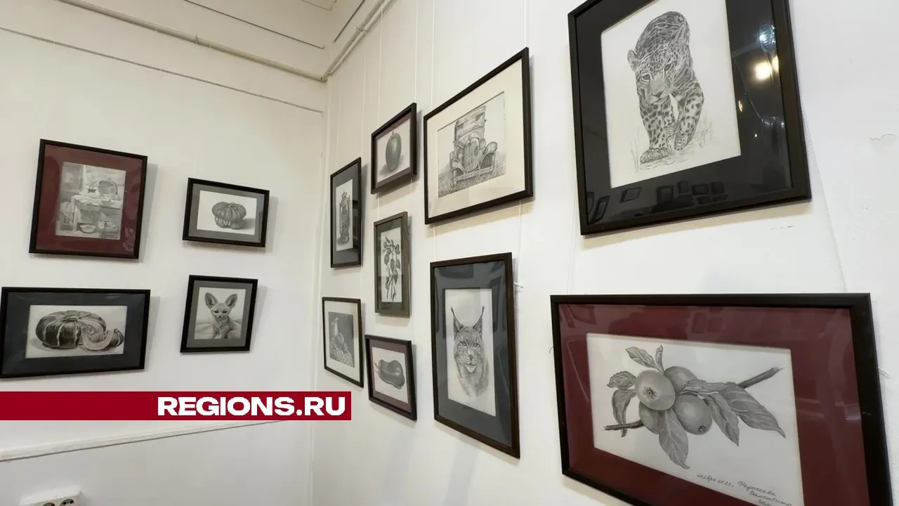 Фото и видео – Ксения Казакова