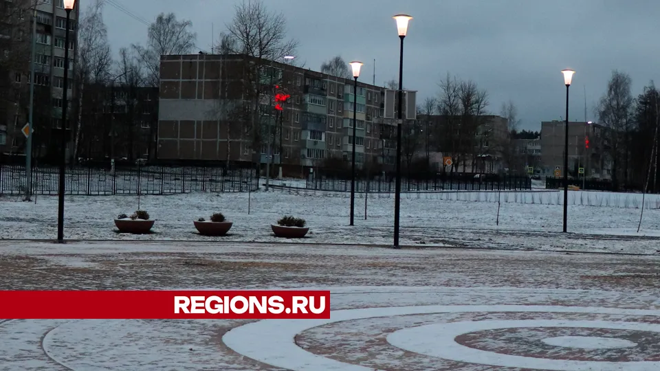 Фото: REGIONS/Василий Тремасов