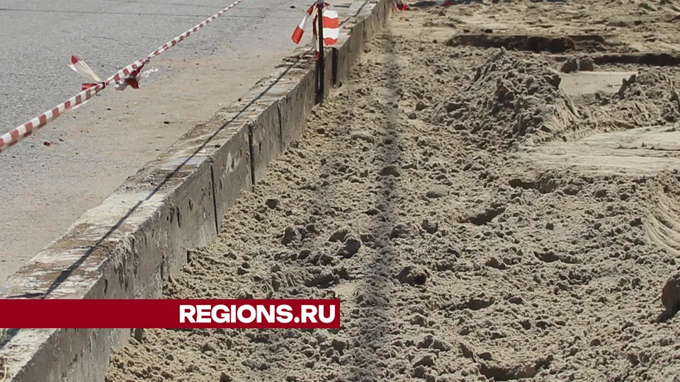 Фото: REGIONS/Василий Тремасов