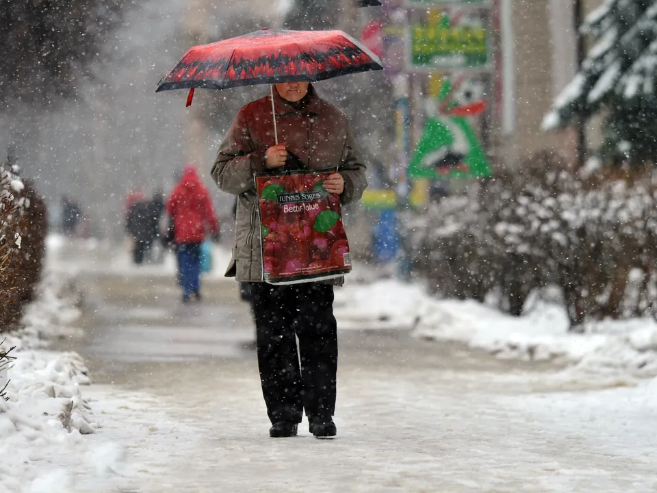 Фото: медиасток.рф
