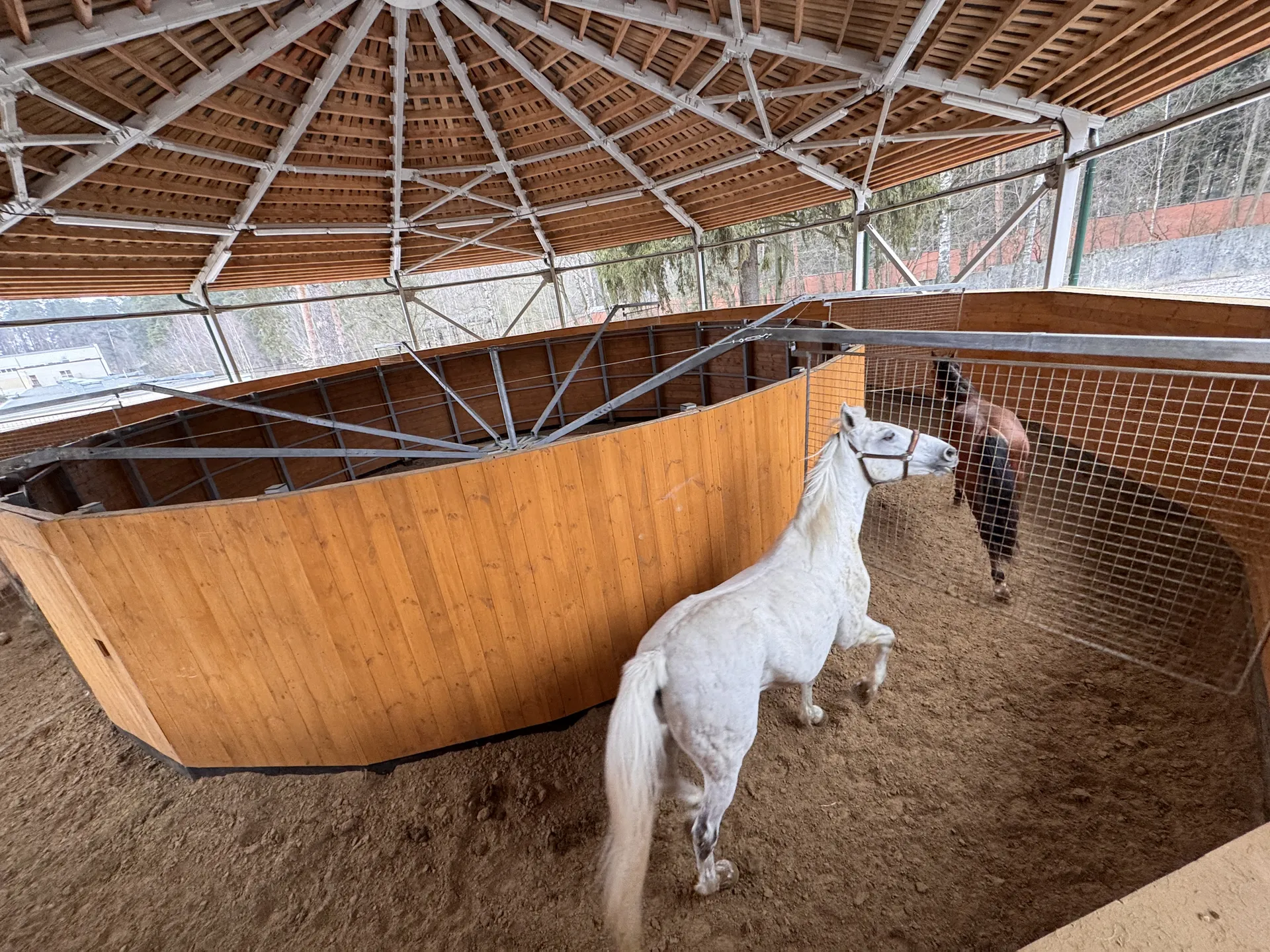 Фото: Мария Шматкова